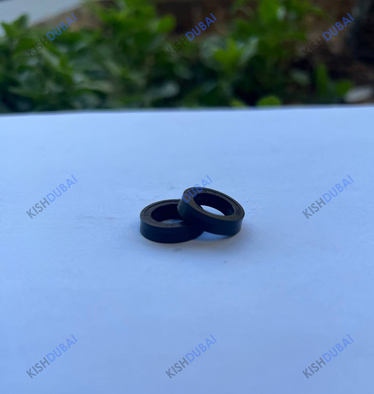 rpu111واشراورینگ کارواش