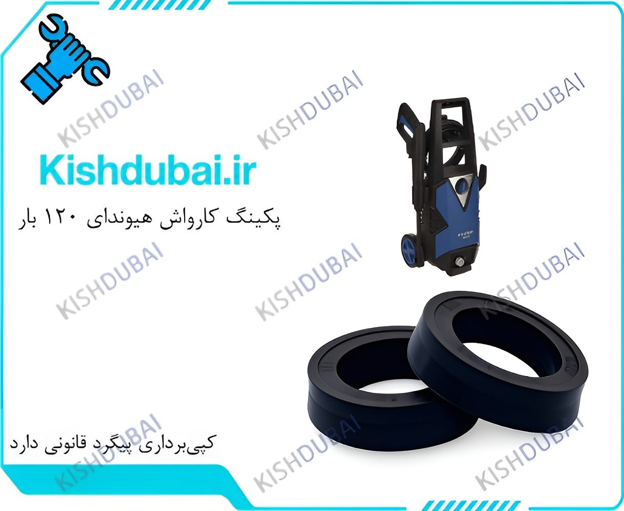 خرید پکینگ کارواش هیوندای ۱2۰ بار