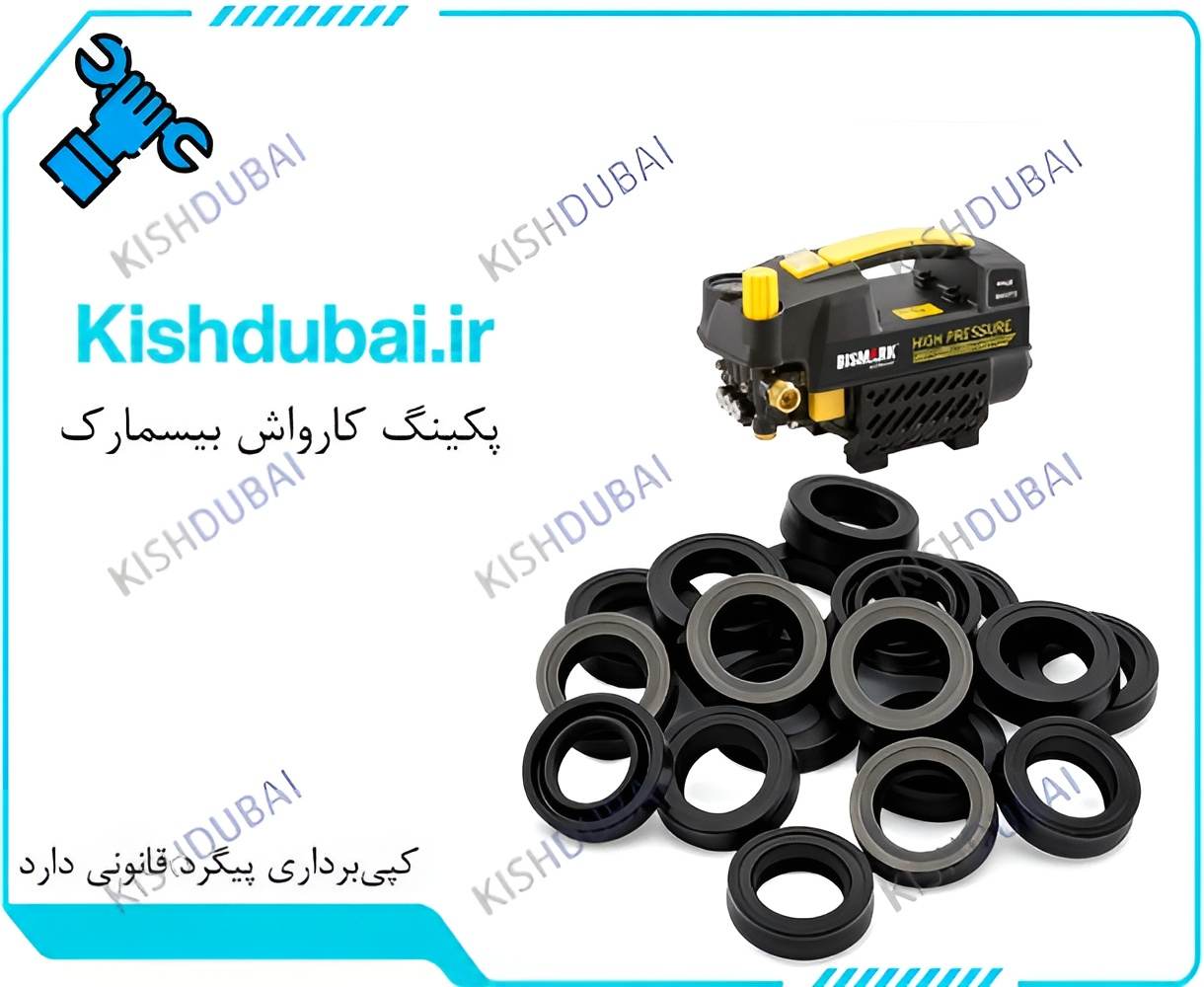 پکینگ کارواش BISMARK