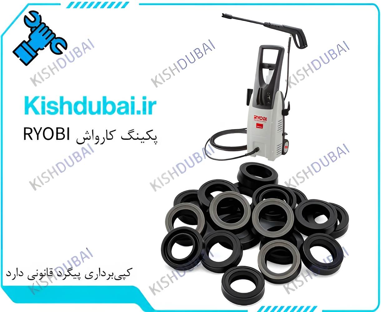پکینگ کارواش RYOBI