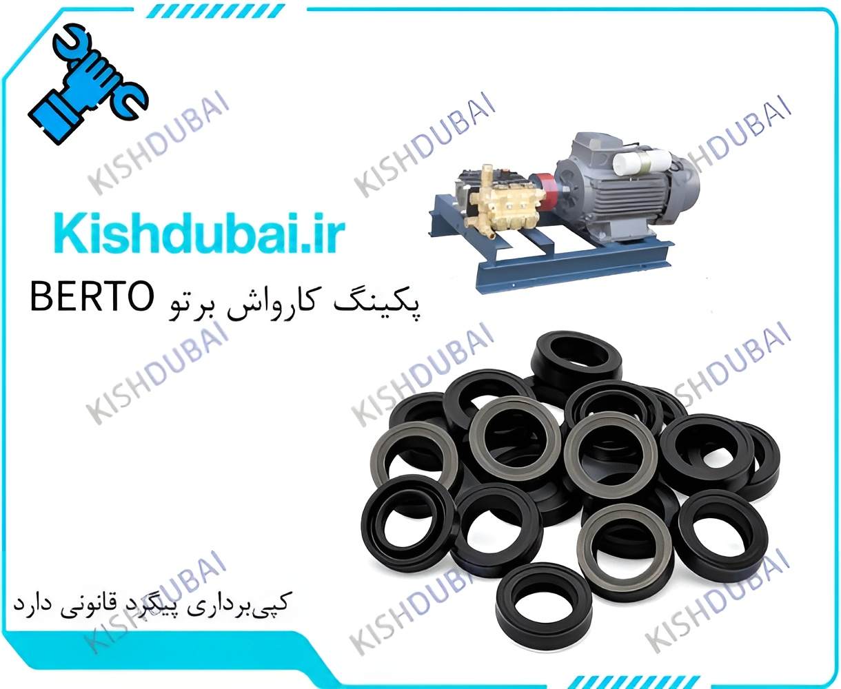 پکینگ کارواش برتو Berto