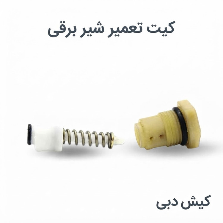 شیربرقی کارواش رونیکس