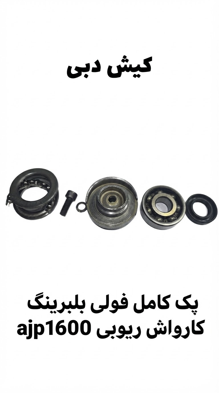 بلبرینگ پولی کارواش ریوبی ۱۶۰۰