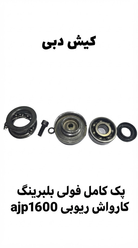 بلبرینگ پولی کارواش ریوبی ۱۶۰۰
