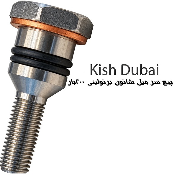 پیچ سر میل شاتون کارواش برتولینی ۲۰۰بار