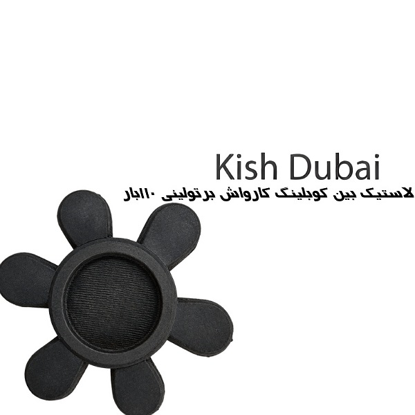 لاستیک کوبلینگ کارواش صنعتی برتولینی ۱۱۰بار