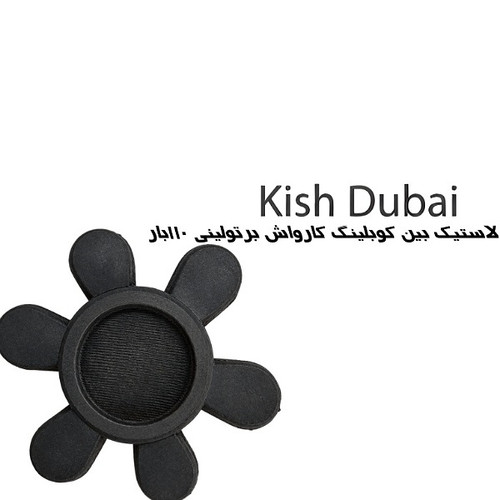 لاستیک کوبلینگ کارواش صنعتی برتولینی ۱۱۰بار