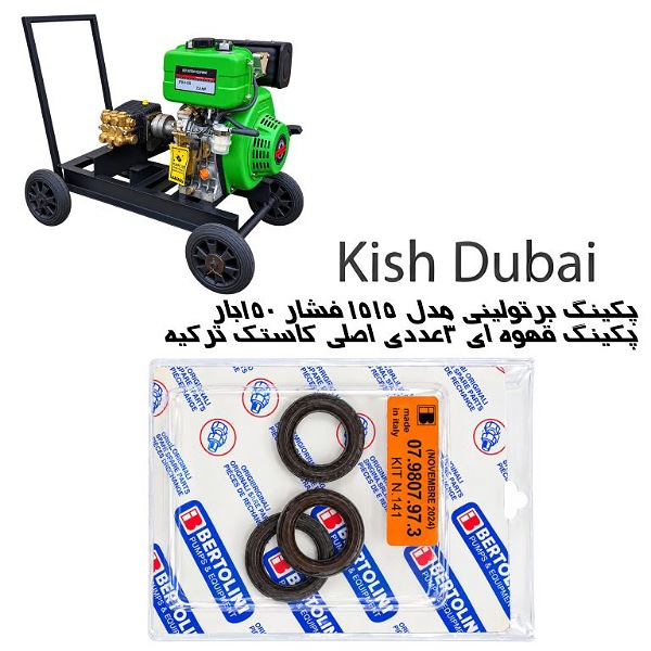 پکینگ کارواش برتولینی ۱۵۰بارمدل ۱۵۱۵
