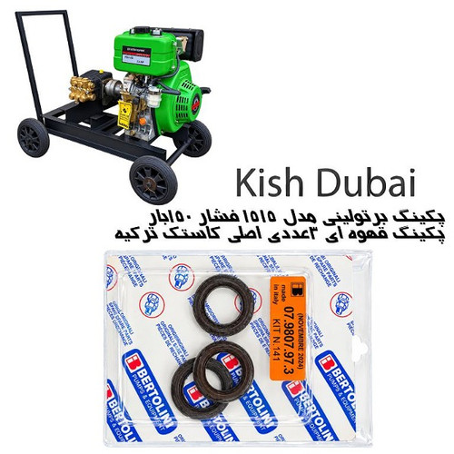 پکینگ کارواش برتولینی ۱۵۰بارمدل ۱۵۱۵