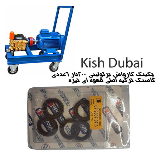 پکینگ برتولینی ۲۰۰بار کاستک ترکیه ۶عددی