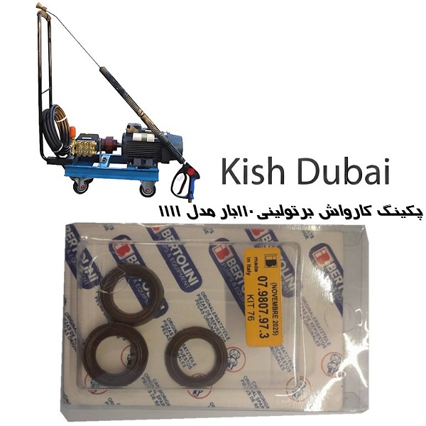 پکینگ کارواش برتولینی ۱۱۰بار مدل ۱۱۱۱(۳عدد پکینگ ترکیه)