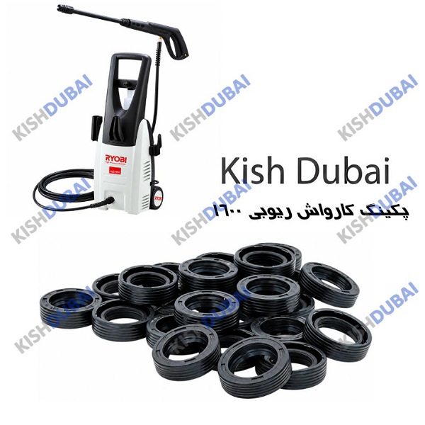پکینگ کارواش ریوبی ۱۶۰۰